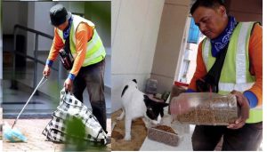 sajagempak.com - Sanggup Kerja 'Part-Time' Demi Memberi Kucing Makan