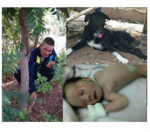 sajagempak.com - Ditanam Hidup-hidup Dalam Tanah, Bayi Baru Lahir Diselamatkan Oleh Salakan Anjing Yang Kuat Dan Menggali Tanah