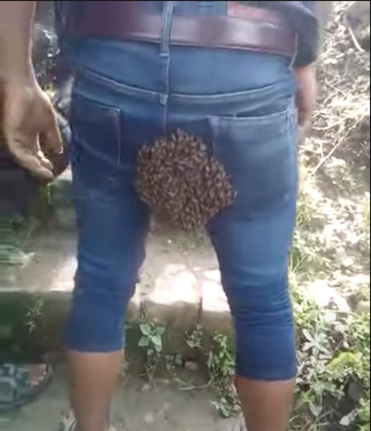 sajagempak.com - Punggung Lelaki Dikerumuni Sekumpulan Lebah Yang Mahu Bersarang [VIDEO]