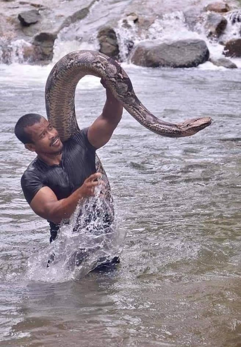 sajagempak.com - Lelaki Bawa Ular Sawa Mandi Sungai, Ditegur Orang Risikokan Keselamatan Tapi Respon Dia Cukup Padu