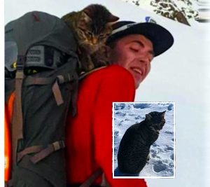 Pendaki Diekori ‘Makhluk Berbulu’ Menempuh Ribut Salji Dan Terus Diekori Hingga Paras 3000 Meter