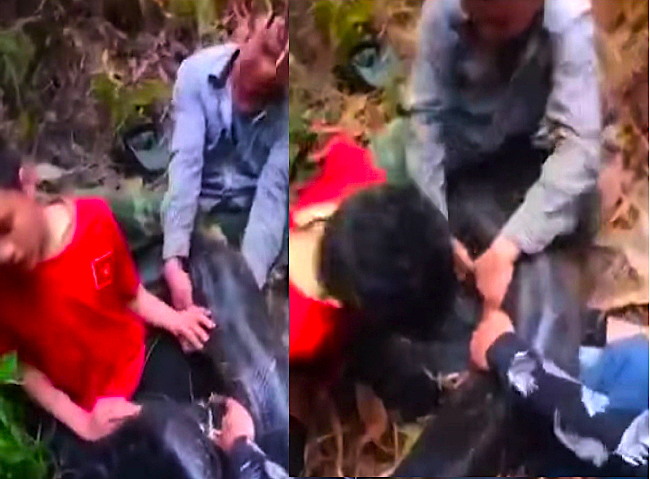 sajagempak.com - Rakaman Remaja Lelaki Dibelit Ular Di Hutan Dan Diselamatkan Buat Ramai Kecut Perut 