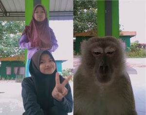 sajagempak.com - Tengah Syok Bermain TikTok, Dua Gadis Bertempiaran Lari Apabila Monyet Datang Nak Join Sekali