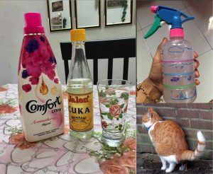 Petua Cara Mudah Halau Kucing Berak Di Halaman Rumah Dan Merata Tempat