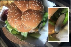 Dua Pelanggan Terkejut, Jumpa Lintah Dalam Isi Burger Yang Dibeli Dari Restoran Makanan Segera Popular