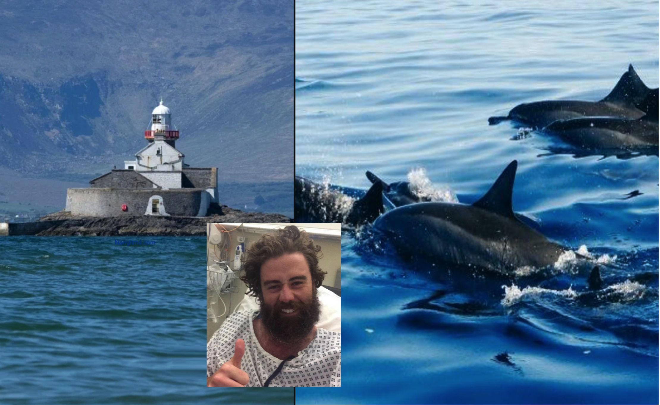 sajagempak.com - Lelaki Sesat Di Tengah Laut Dikelilingi 'Jerung’ Tapi Diselamatkan Sekumpulan Dolphin