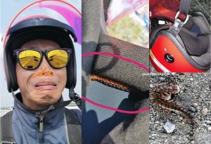 Check Dulu Sebelum Guna Helmet, Lelaki Rasa Geli Ketika Tunggang Motosikal Rupanya Ada Lipan Menyorok - sajagempak.com