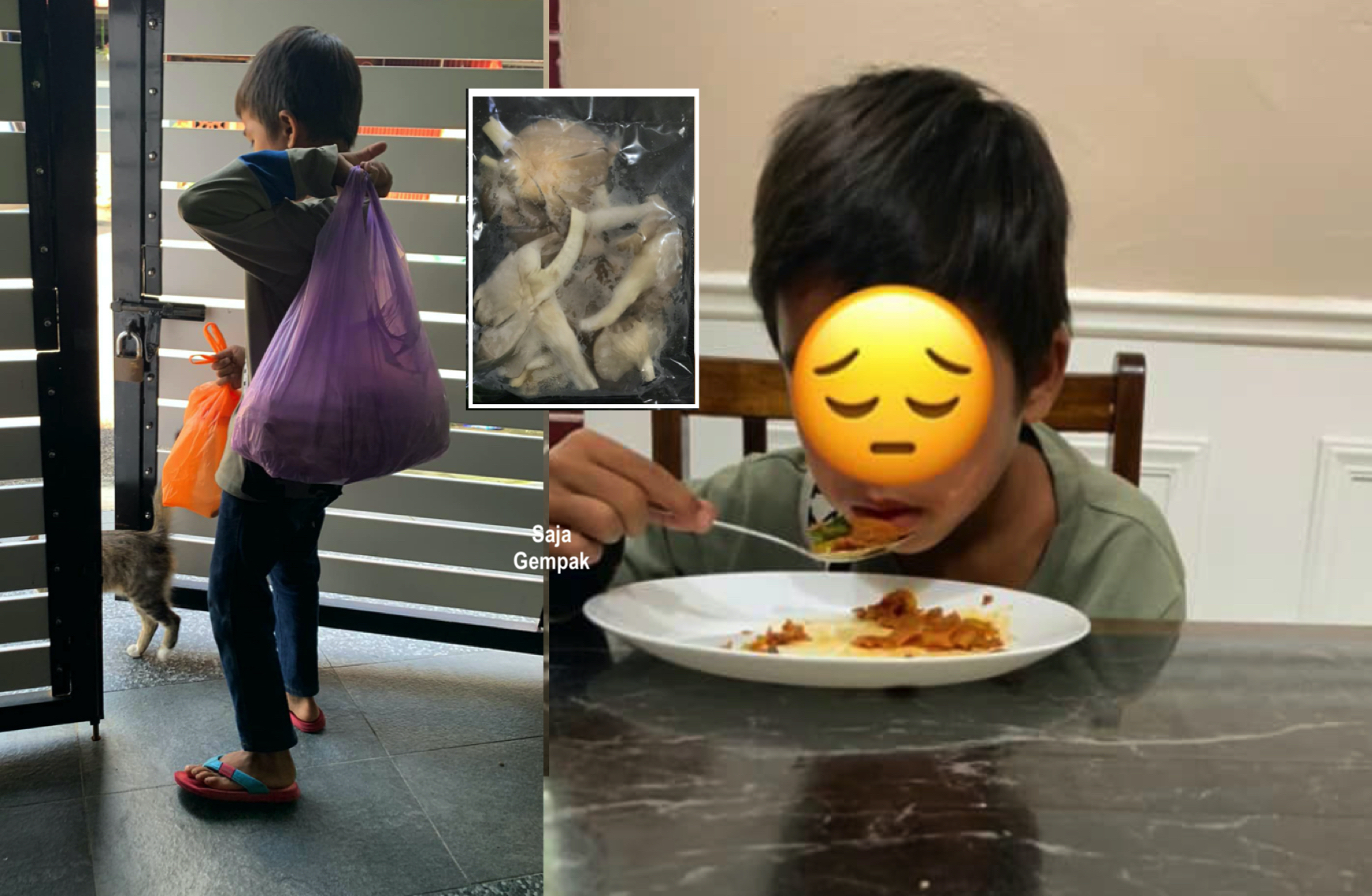Budak Lelaki 12 Tahun Terpaksa Ponteng Sekolah Demi Menolong Bapa Jual Cendawan - sajagempak.com