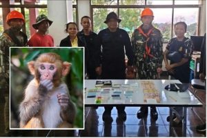 Monyet Curi Beg Berisi Lebih RM6000 Dari Seorang Wanita Sebelum Melemparkan Dari Tebing